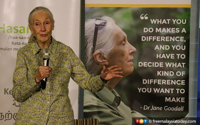 Environmental education in schools can save Malaysia, says Jane Goodall ...