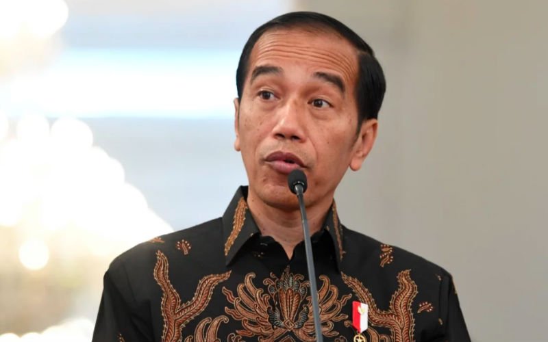 Jokowi inaugurates US$3 bil ‘strategic’ port