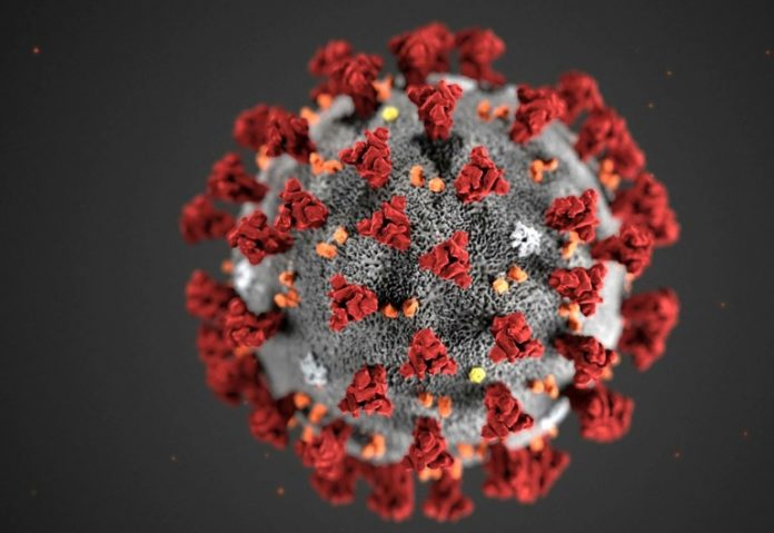 Covid-19: Singapore reports one case with UK virus strain