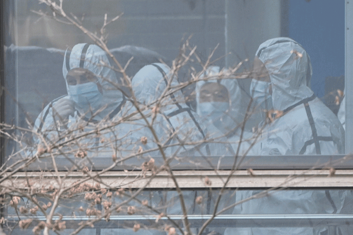 WHO slams critics of Covid-19 origins probe