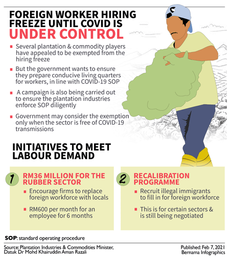 Plantation sector may be allowed to hire foreign workers once Covid-19 threat contained