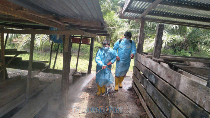 African Swine Fever virus spreads to other districts in Sabah, says deputy CM