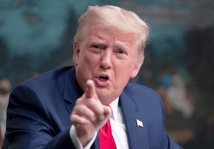 Trump to launch own social media platform: ex-aide