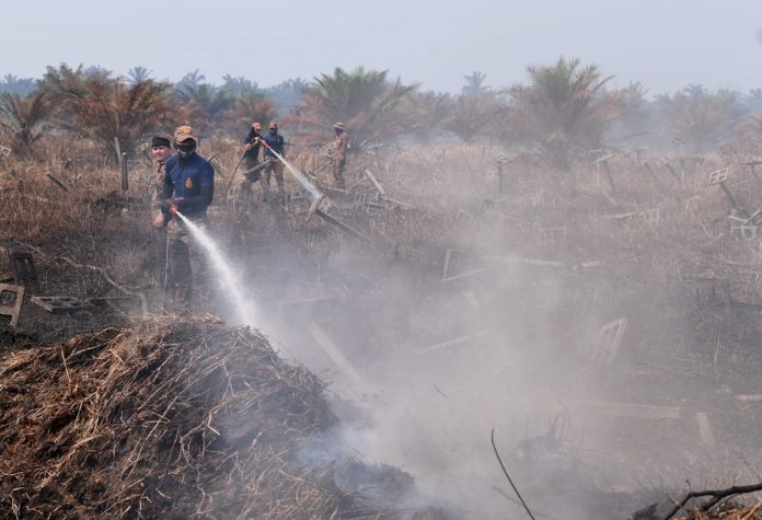 Kuala Langat Selatan forest fire spreads to over 40 hectares, says Selangor Fire Dept