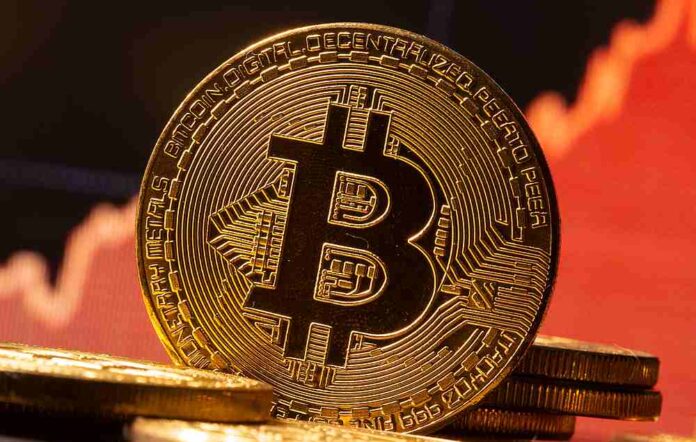 Cops on the hunt for bitcoin miner behind RM9m loss to TNB in Melaka