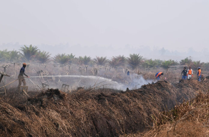 DOE: Open burning prohibited in Selangor, Pahang, Johor