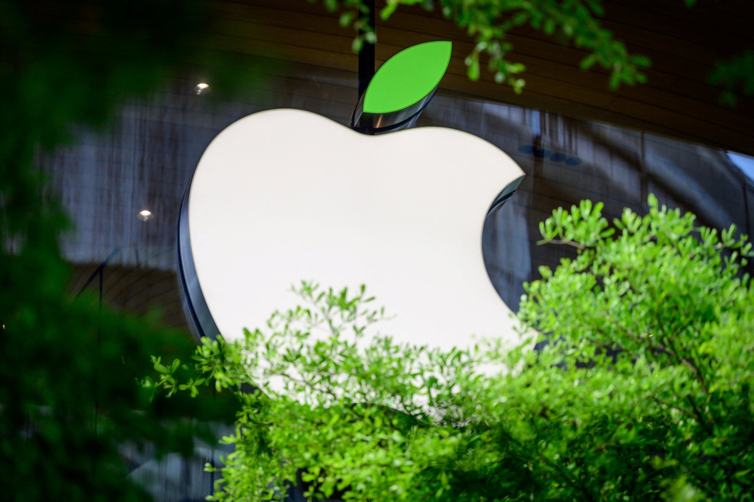 Apple announces $200 mn forestry fund to reduce carbon