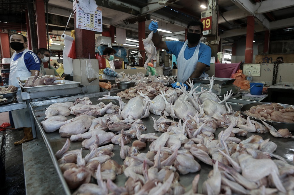 Hike in chicken price due to higher feed costs, says minister