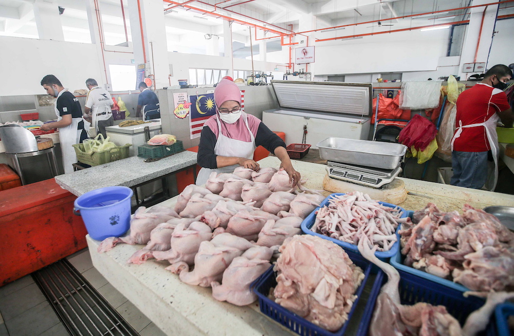 Domestic Trade Ministry issues 24 notices to chicken wholesalers, 16 to breeders for suspected profiteering