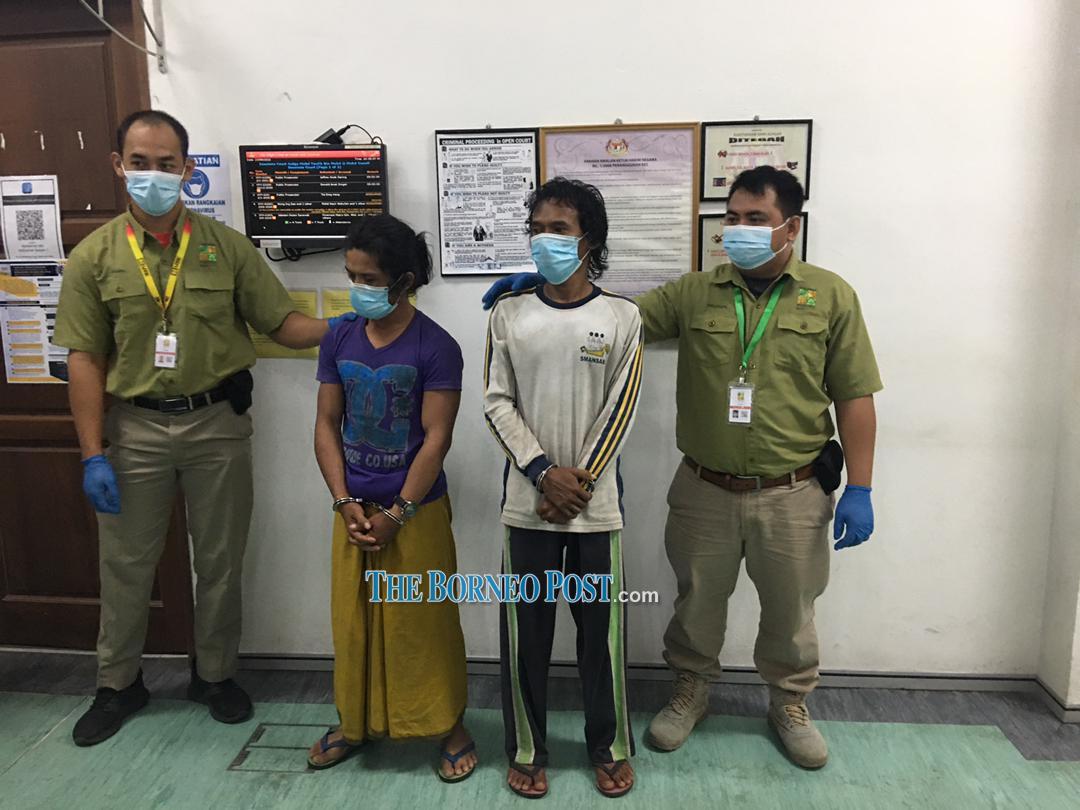 Miri court sentences 2 Indonesians to 21 months’ jail, RM146,000 in fines each for possession of protected and wild birds
