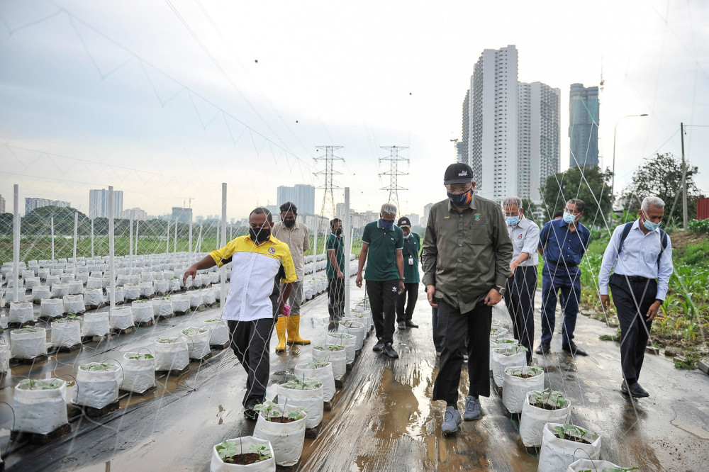 FT Ministry to implement large-scale precision farming project to help the homeless, says minister
