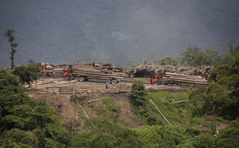 Sarawak DCM: All long-term logging operators must have forest management certs by 2021