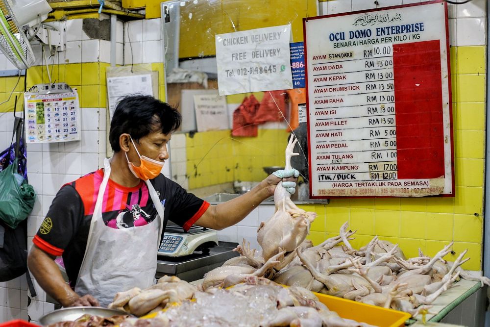 Farmers’ association says raw materials for chicken feed rose by over 40pc since Jan 2020, labour costs up too