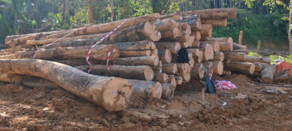 Forest Dept seizes 226 illegal logs in Kanowit