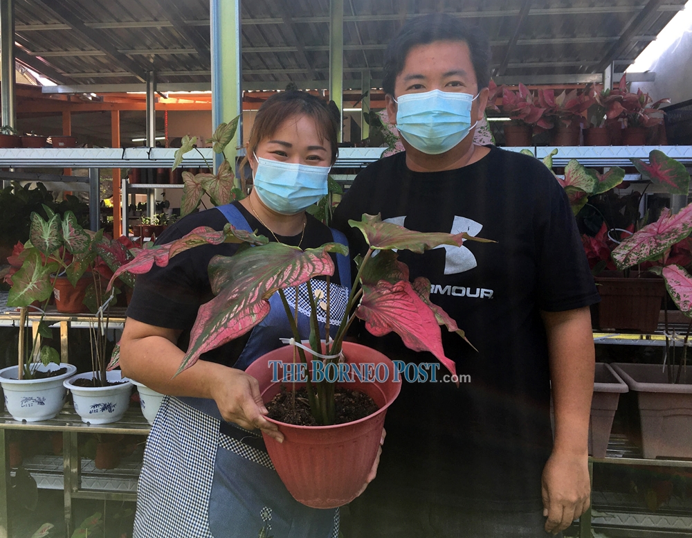 Have green fingers, will travel