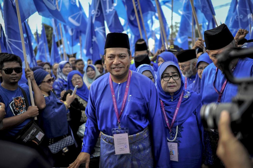 Report: Umno to contest all three seats in Pagoh for GE15, says division chief