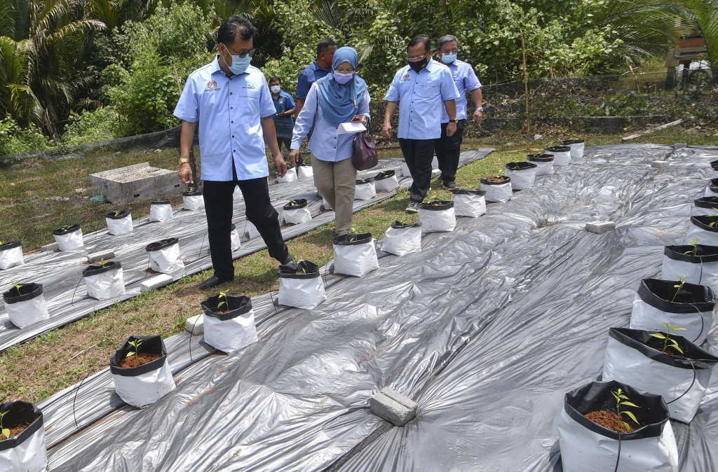Technical advances in agricultural sciences