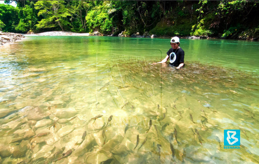 Tagal system helps preserve natural resources in Sabah rivers