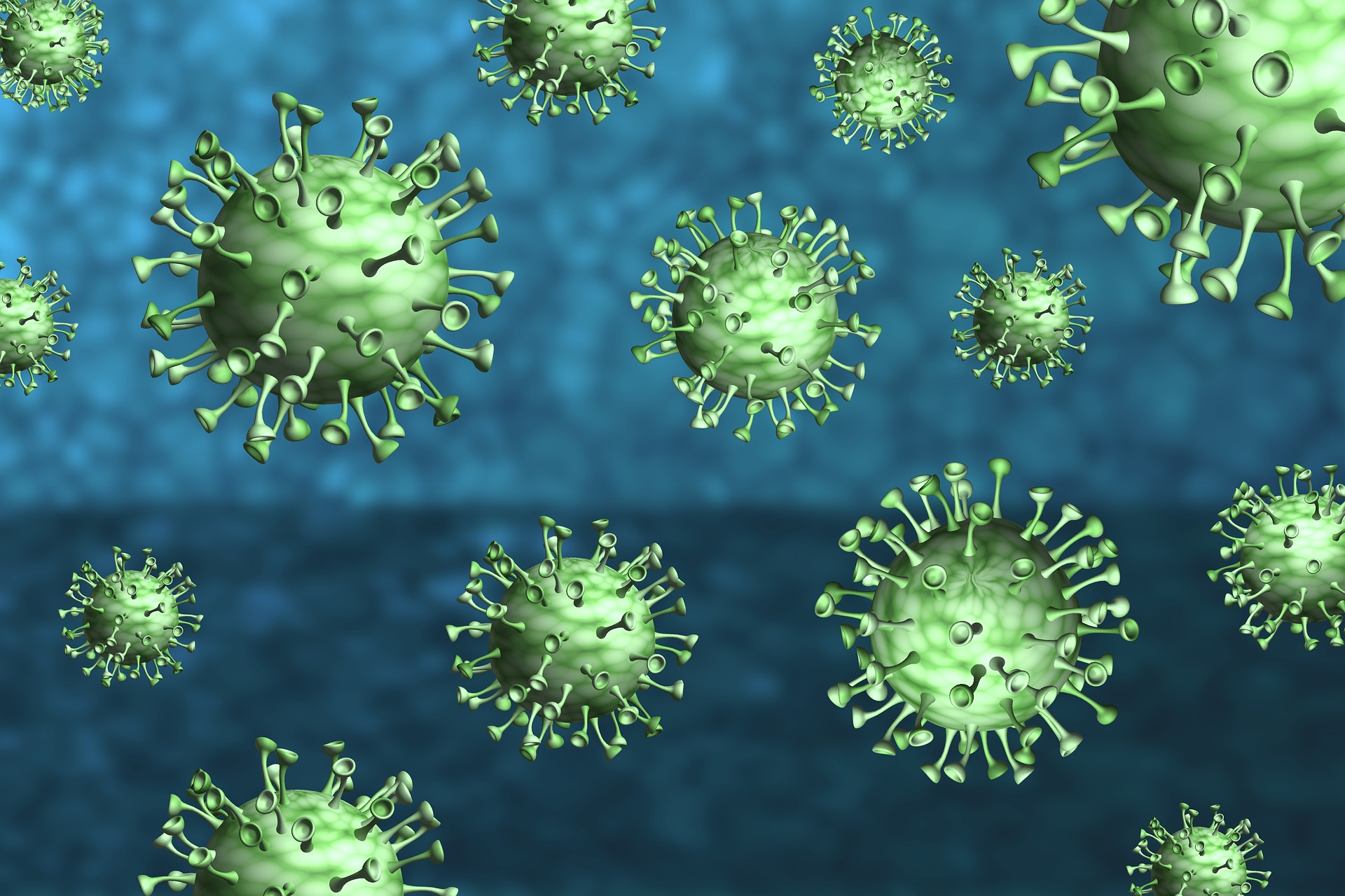 US study finds new canine coronavirus in past patients in Sarawak
