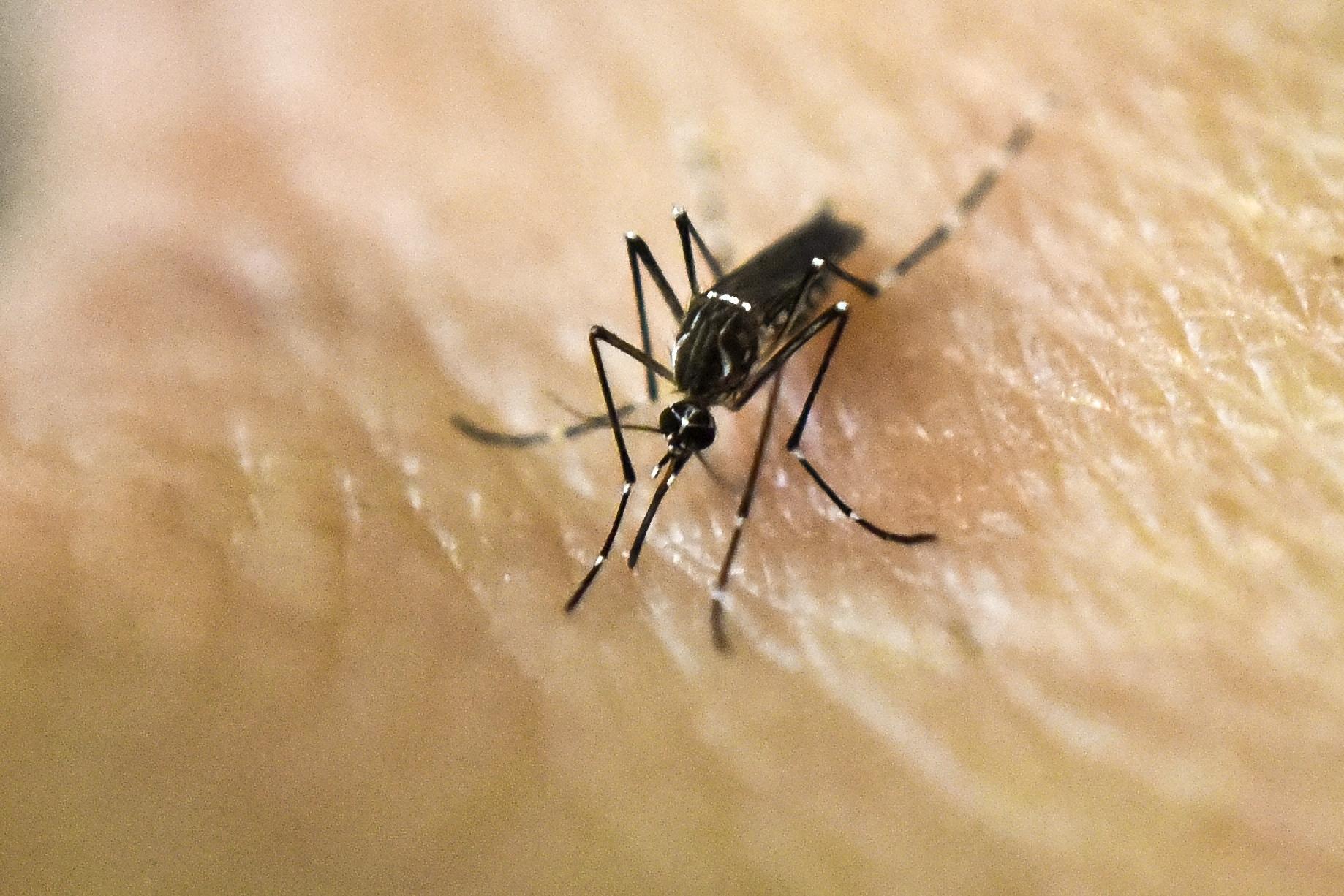 Labuan maintains zero human malaria cases since 2017