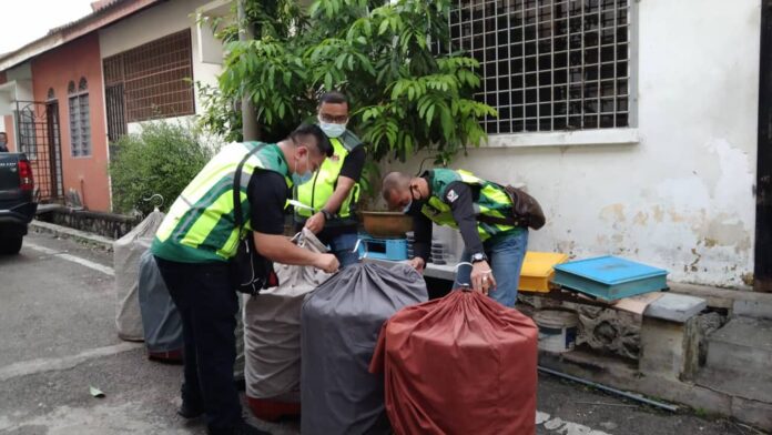 Johor wildlife officers arrest man, seize 22 protected birds after raid on Pasir Gudang pet shop