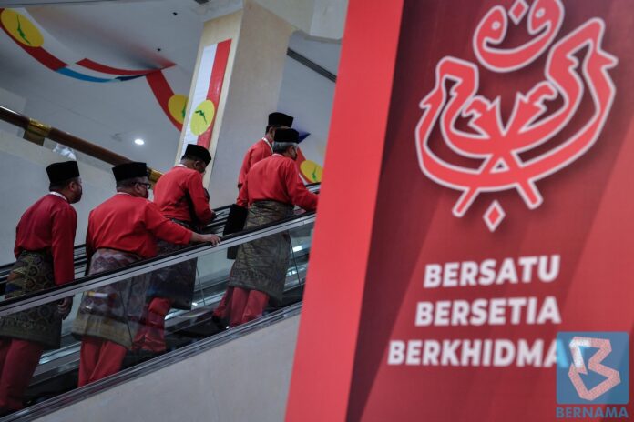 Umno to put off party elections for up to 18 months – deputy president