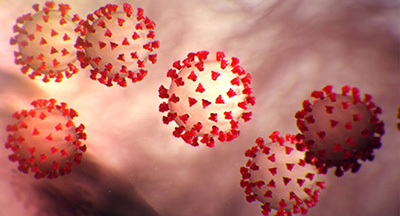 203 cases, new cluster