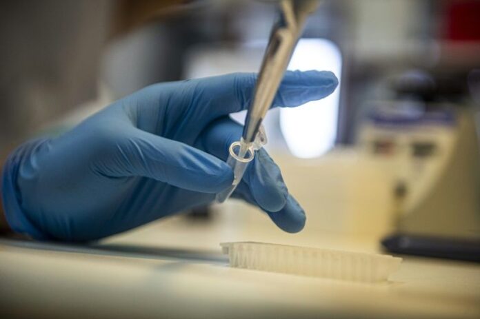 MEF wants government to setup national vaccine research centre