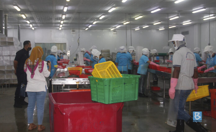 Society finds SOP compliance in Malaysian factories unsatisfactory