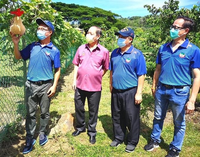 School starts vegetables, fruits farm