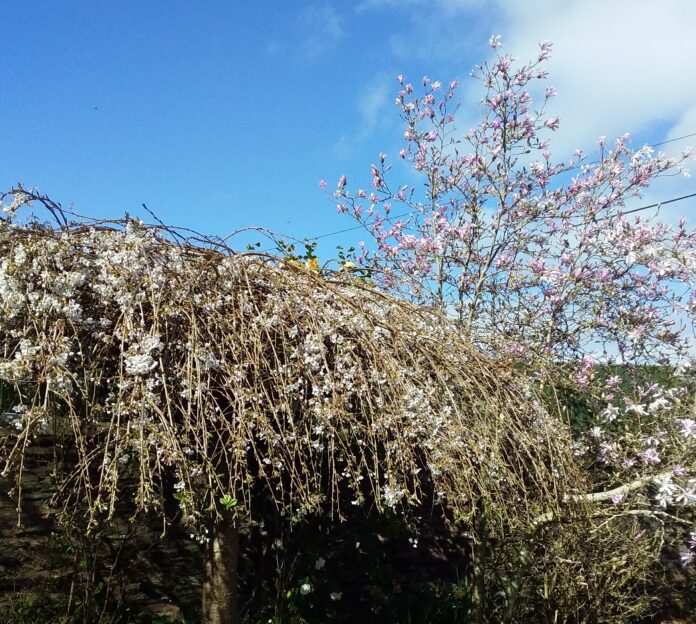 The shifting seasons
