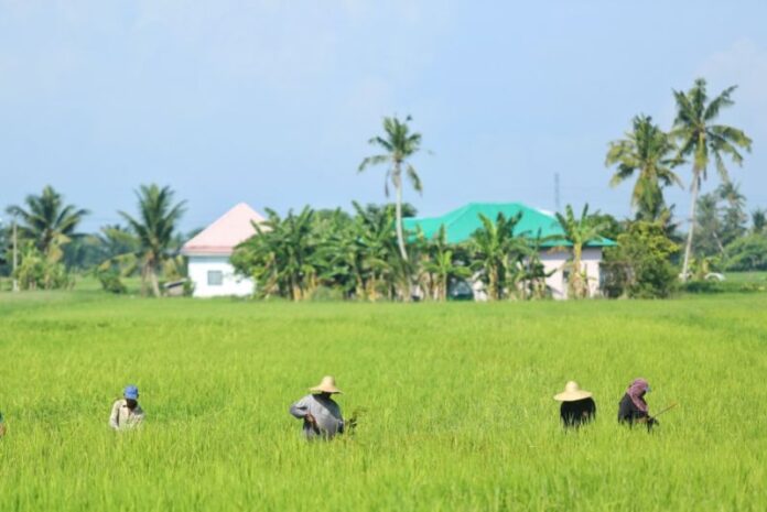 Ministry says national food security action plan can ensure Malaysia’s preparedness during a crisis