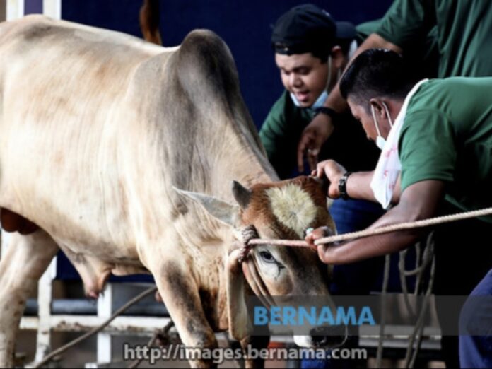 Selangor allows sacrificial rites for Aidiladha at three premises – Exco