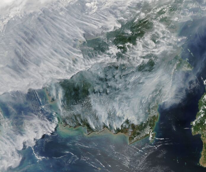 Wildfires and pyrogeography