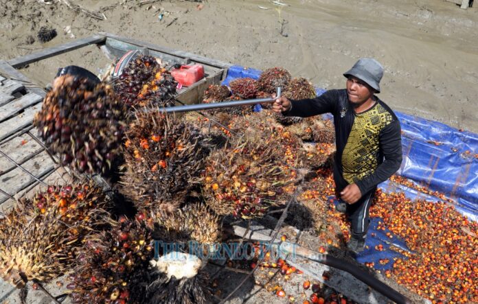 Doppa: Foreign workforce never an easy issue for Sarawak’s oil palm smallholders