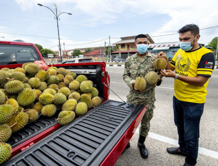 Goldsmith distributes 1200kg tonnes of durians at drive-through giveaway