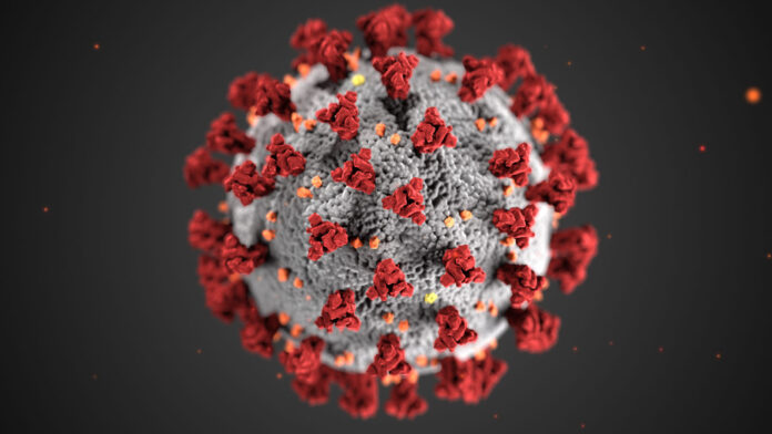 474 new cases, one death, two clusters