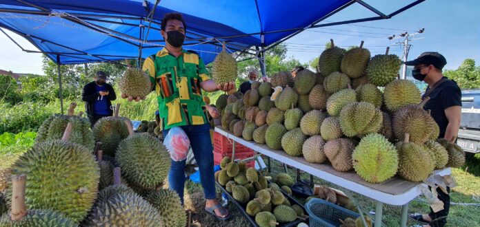 Prices of durians from Tenom, Keningau still high