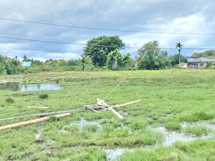 Boy electrocuted while removing kite
