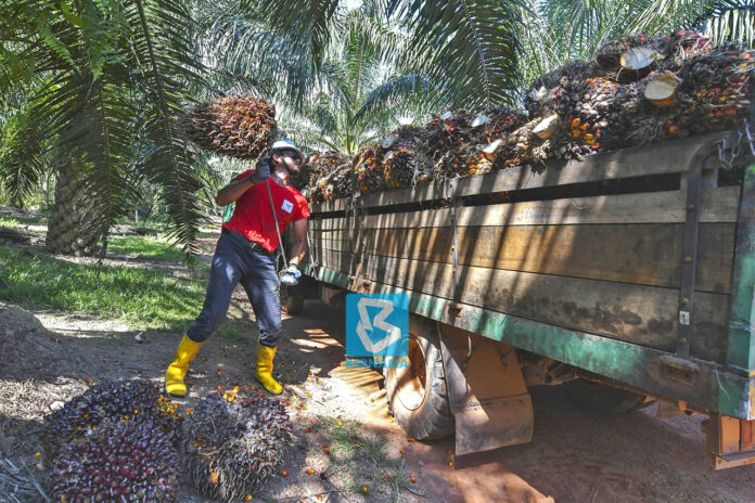 Register foreign workers for Covid-19 vaccination, Kapit industries told