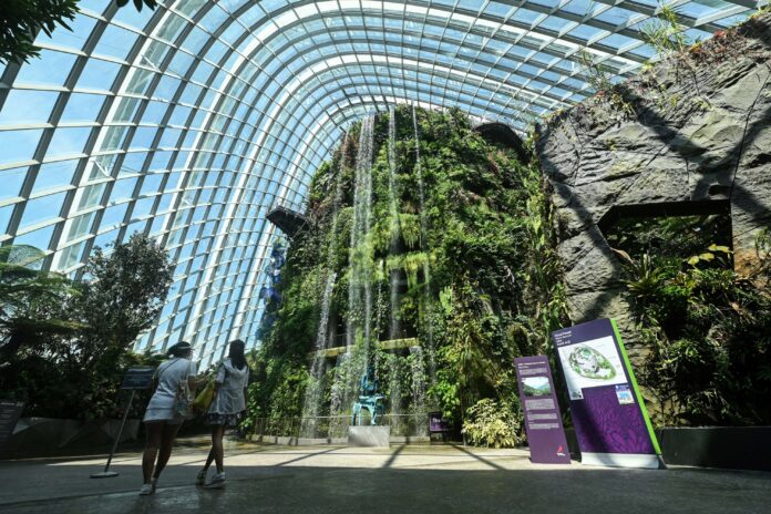 From grey to green: world cities uprooting the urban jungle