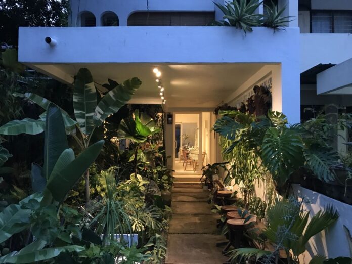 Sputnik Forest Labs: The name is not the only cool thing about this Penang spatial and landscape consultant