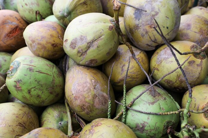 Malaysians ate more coconuts than durians in 2020 by weight; top exports were watermelon, banana, then durians