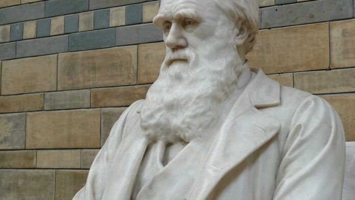 Darwin? Which one?