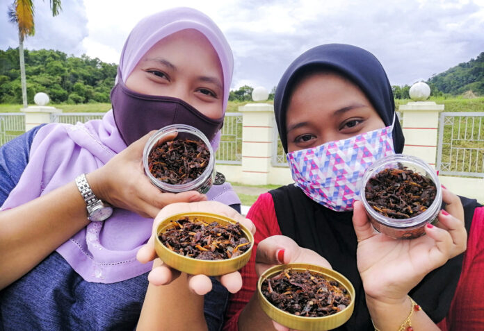 Foodies jump for joy after discovering local fried grasshopper vendor