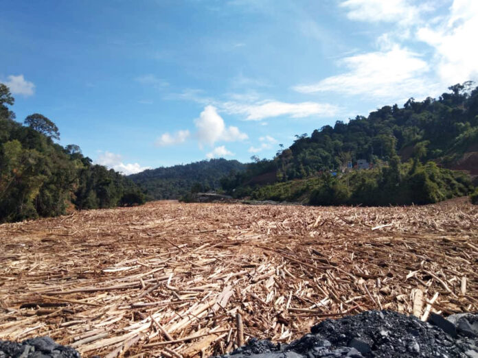 SEB wary of floating timber debris clogging diversion tunnels