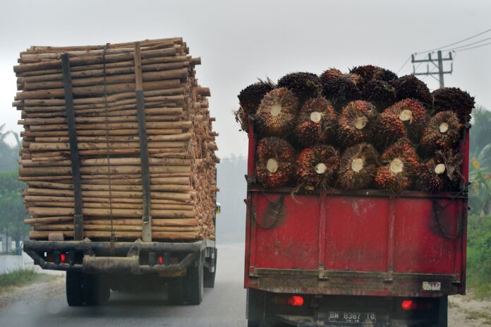 Labour issues will continue to hamper plantations