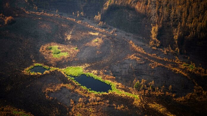 Putin alarmed by ‘unprecedented’ natural disasters in Russia
