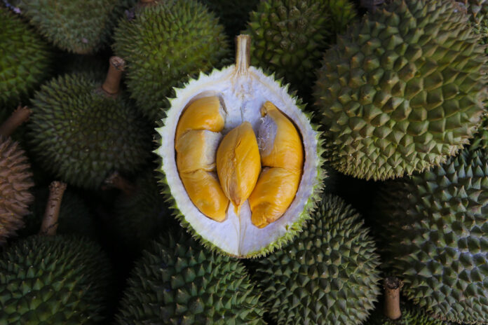 SDMC to help durian farmers sell fruit, says Sarawak DCM