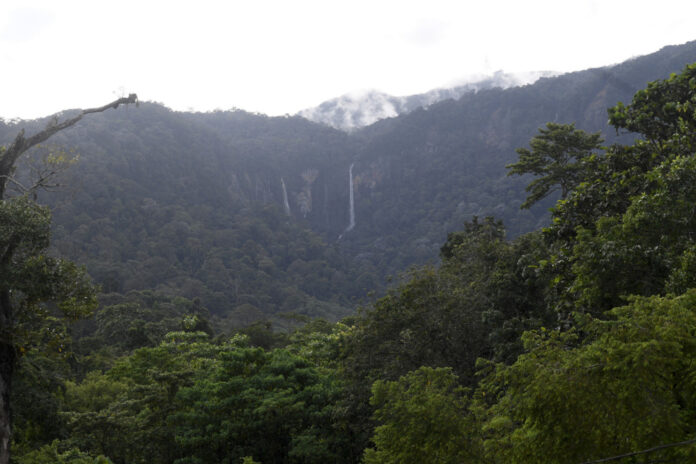 Six more small-scale landslides detected in Gunung Jerai